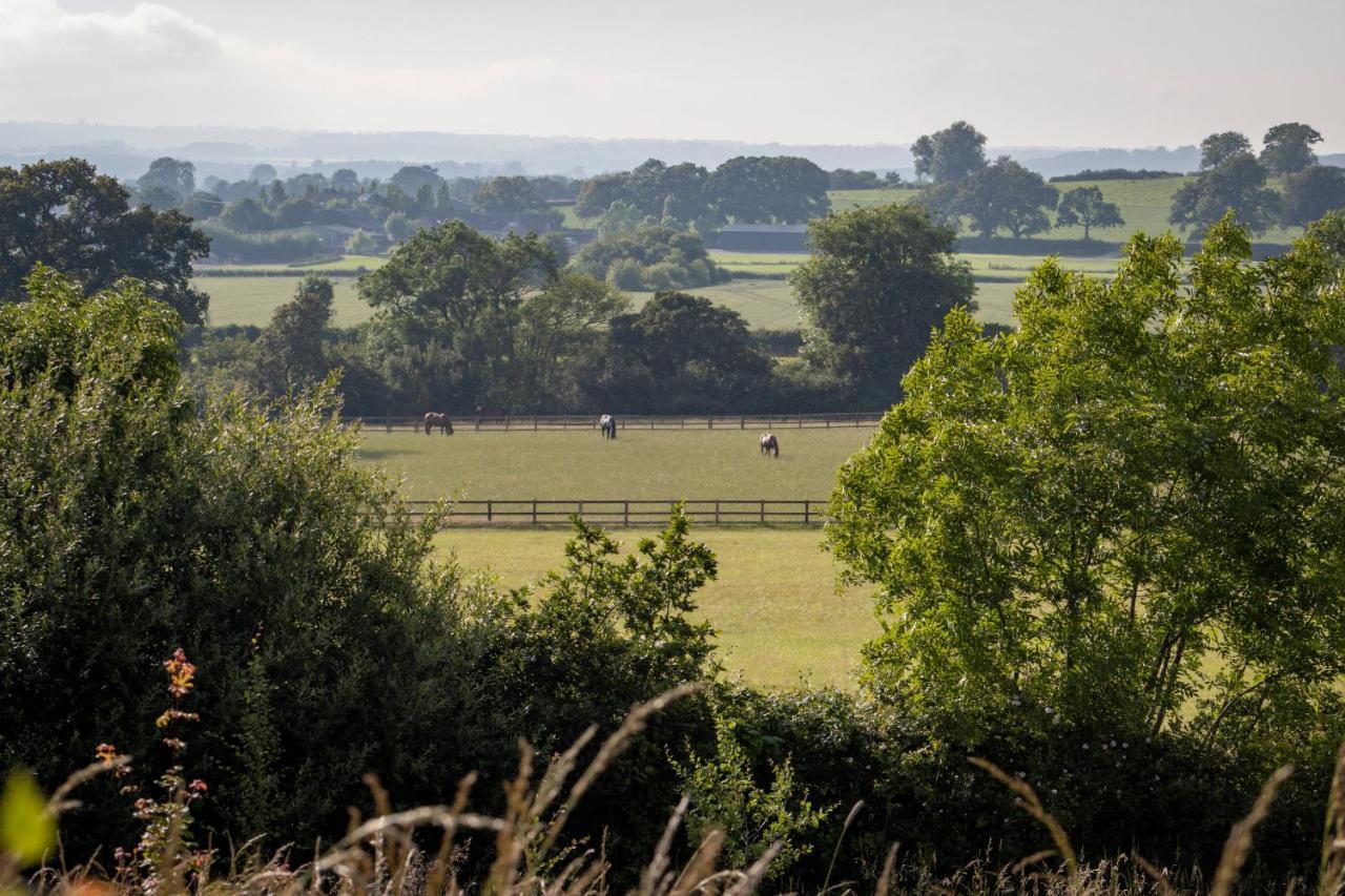 Gutchpool Farm Bed and Breakfast Gillingham  Εξωτερικό φωτογραφία